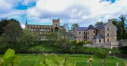 Schottland-7-2 Jedburgh Abbey