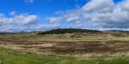 850_9074-Pano-10 Typische schottische Landschaft