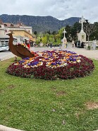 IMG_9877-7