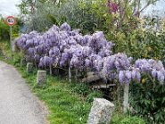 3B354999-5060-4865-9575-0B779932CCA4-25336-00002CA206220AD4-15